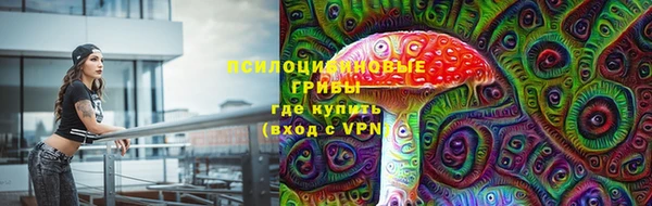 a pvp Алексин