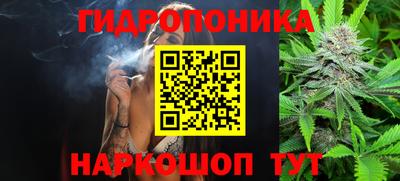 гидропоника Берёзовский