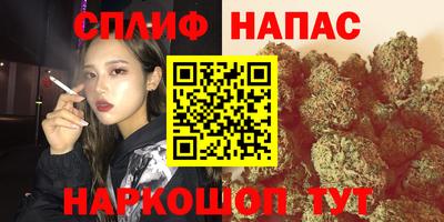 гидропоника Берёзовский