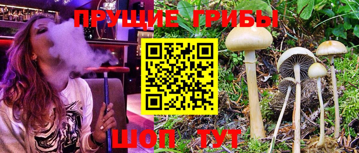 Псилоцибиновые грибы MAGIC MUSHROOMS  дарнет шоп  Асино  Вход с VPN 